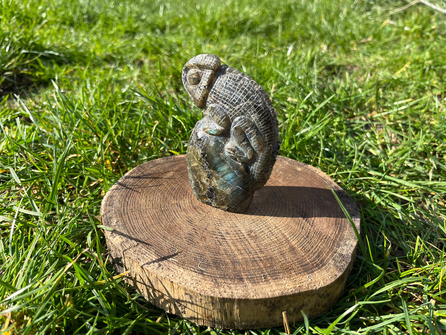 Labradorit Chameleon Carving