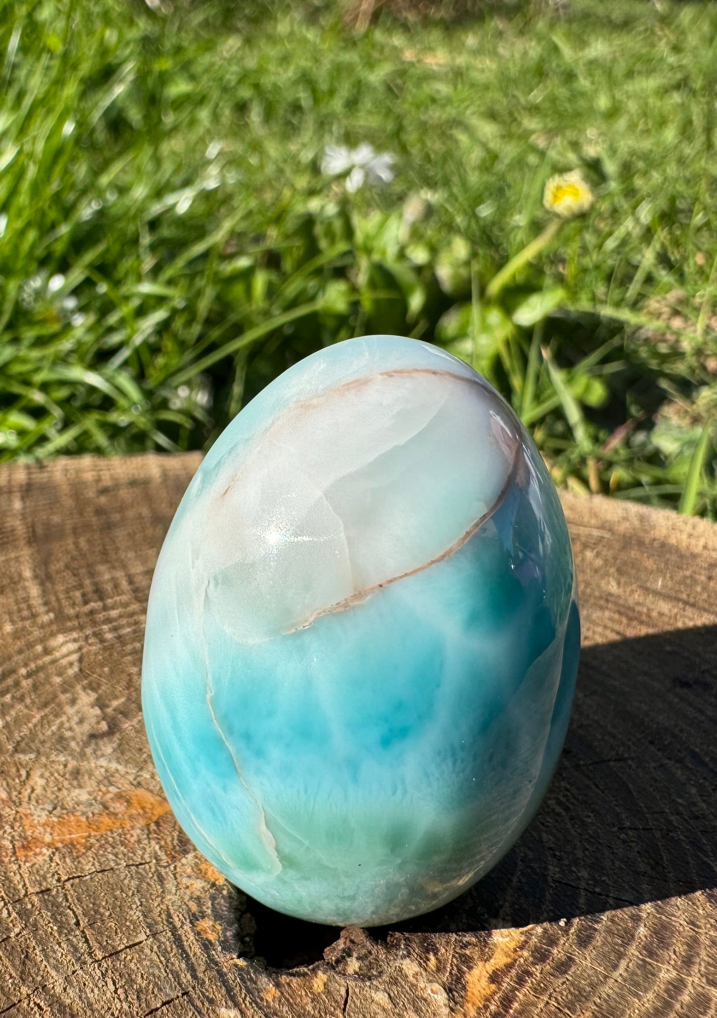 Larimar 🩵 Ei | HQ