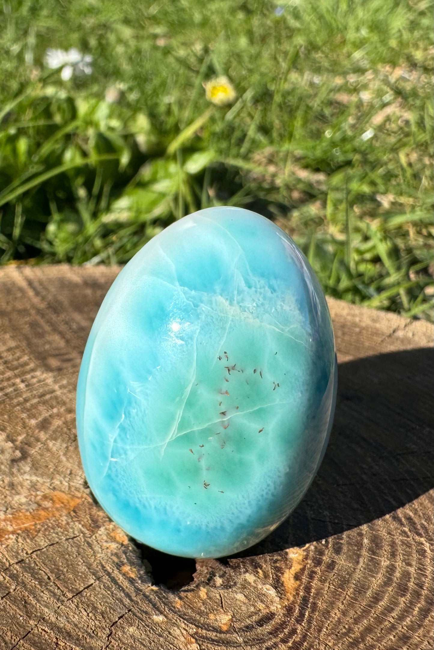 Larimar 🩵 Ei | HQ