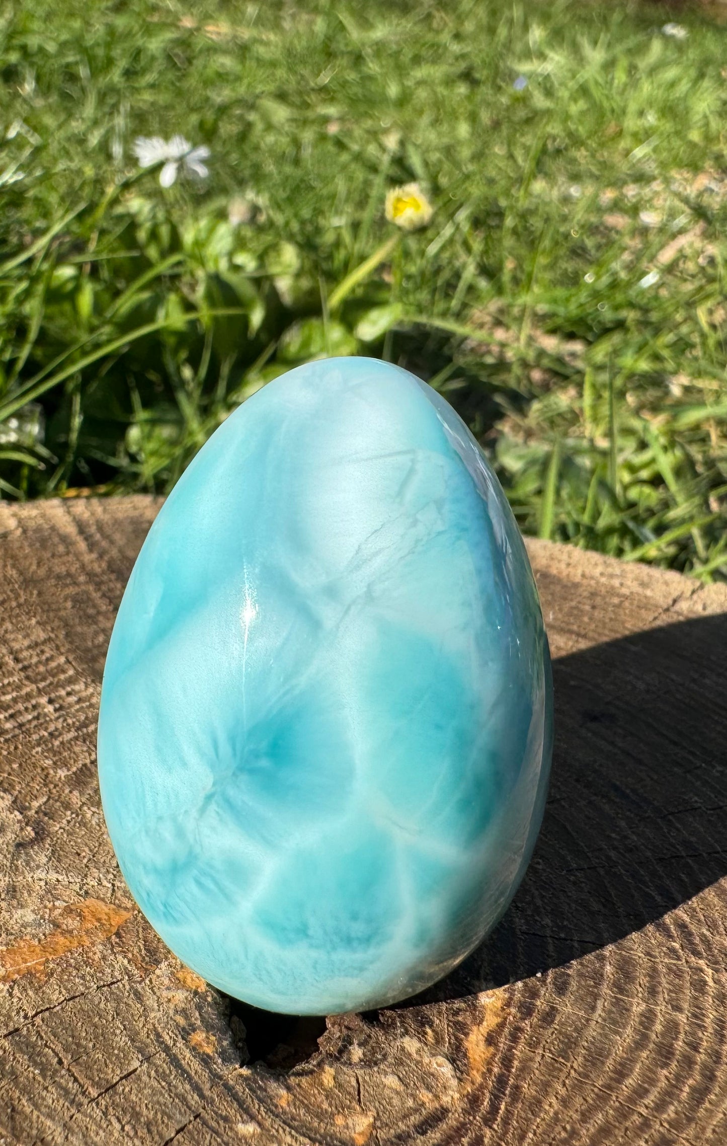 Larimar 🩵 Ei | HQ