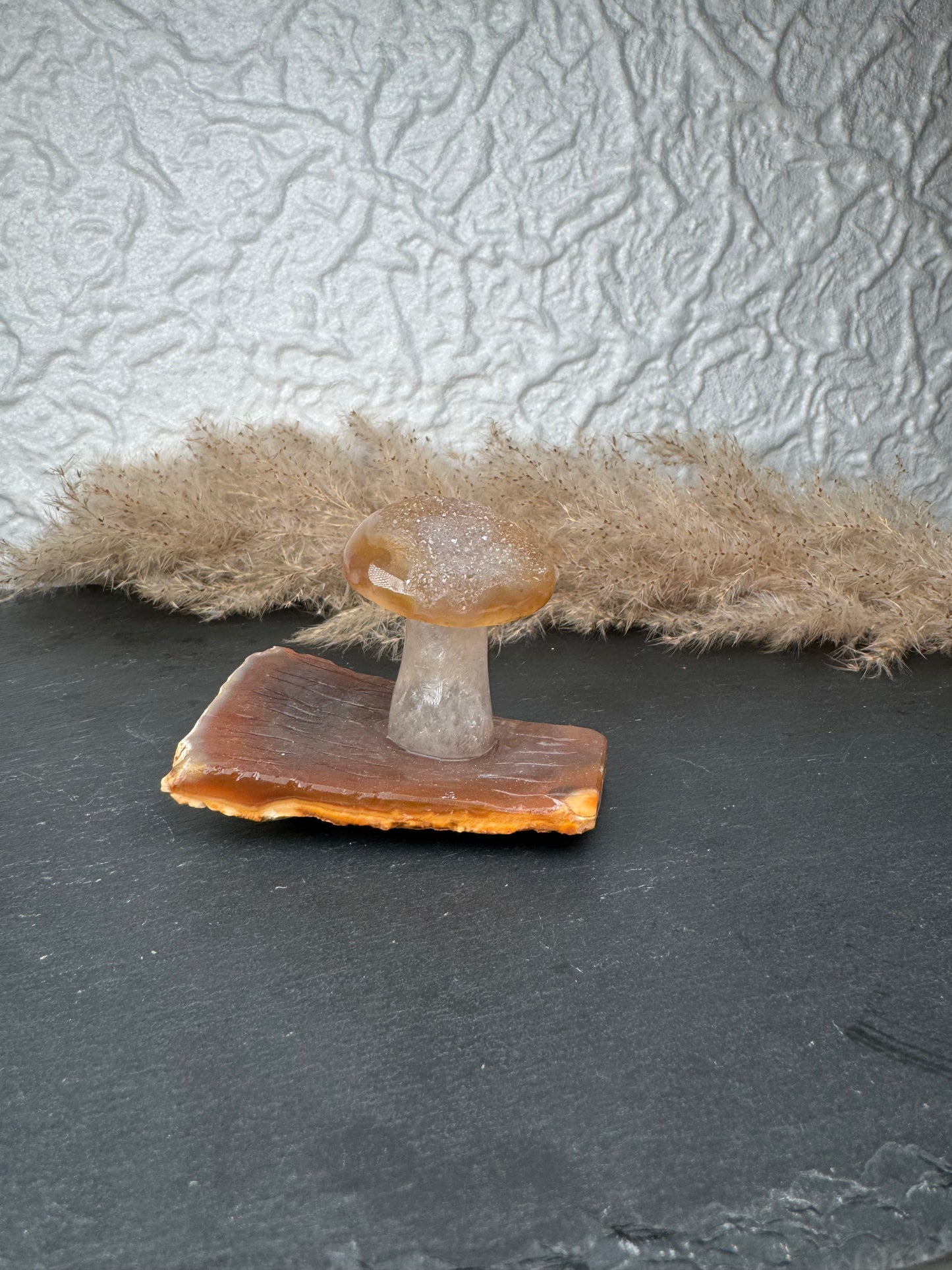 Druzy ✨ Achat Pilz 🍄 | Stück C