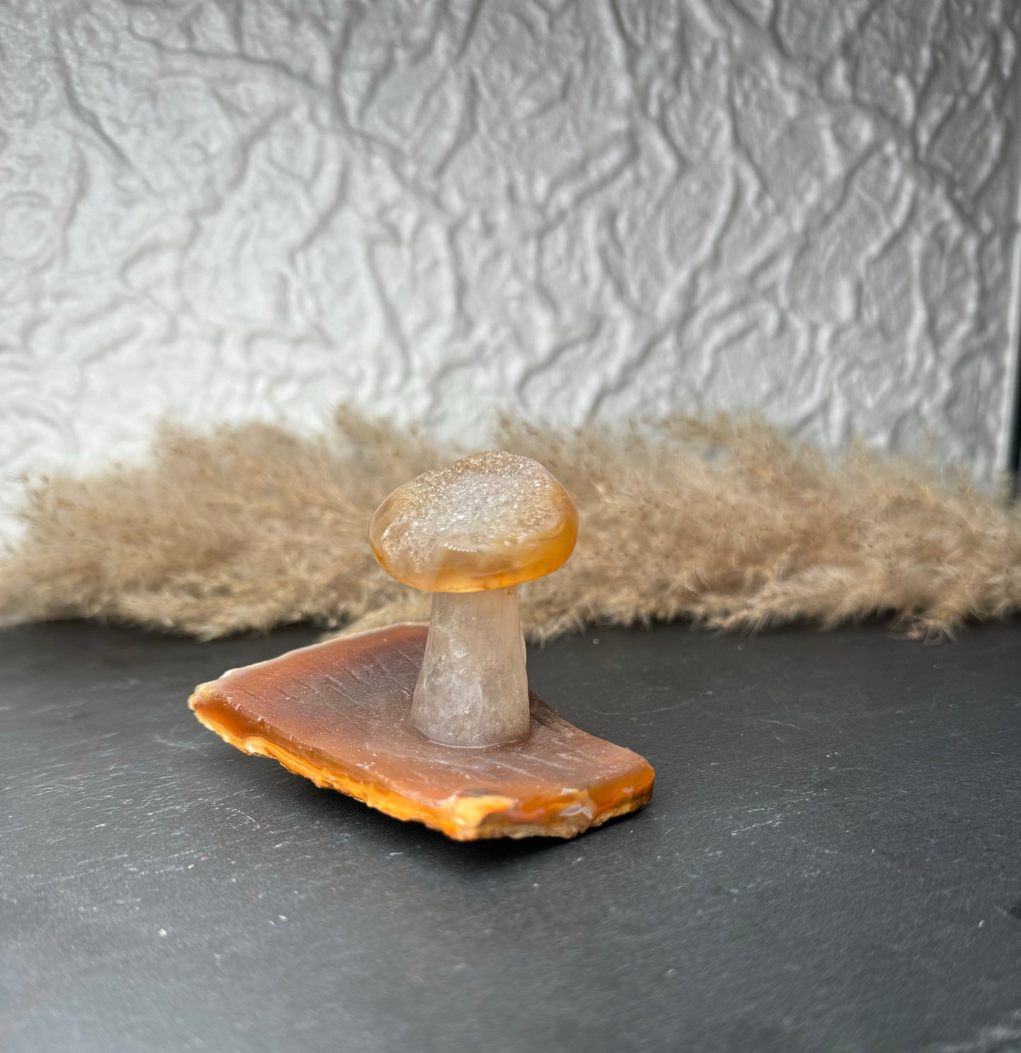 Druzy ✨ Achat Pilz 🍄 | Stück C