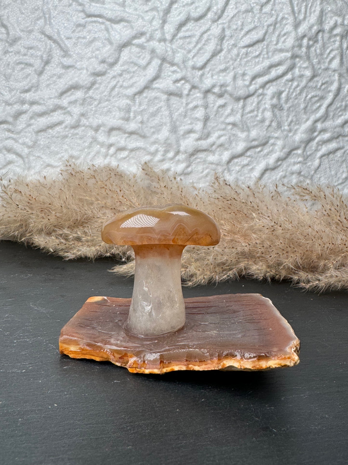 Druzy ✨ Achat Pilz 🍄 | Stück C