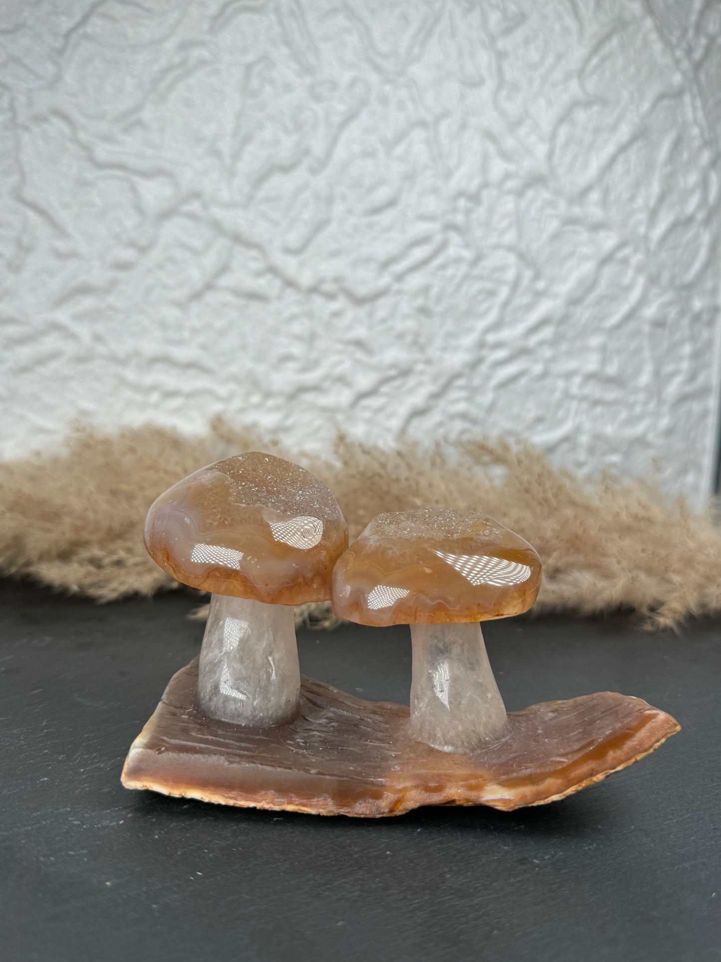 Druzy ✨ Achat Pilz 🍄 | Stück A