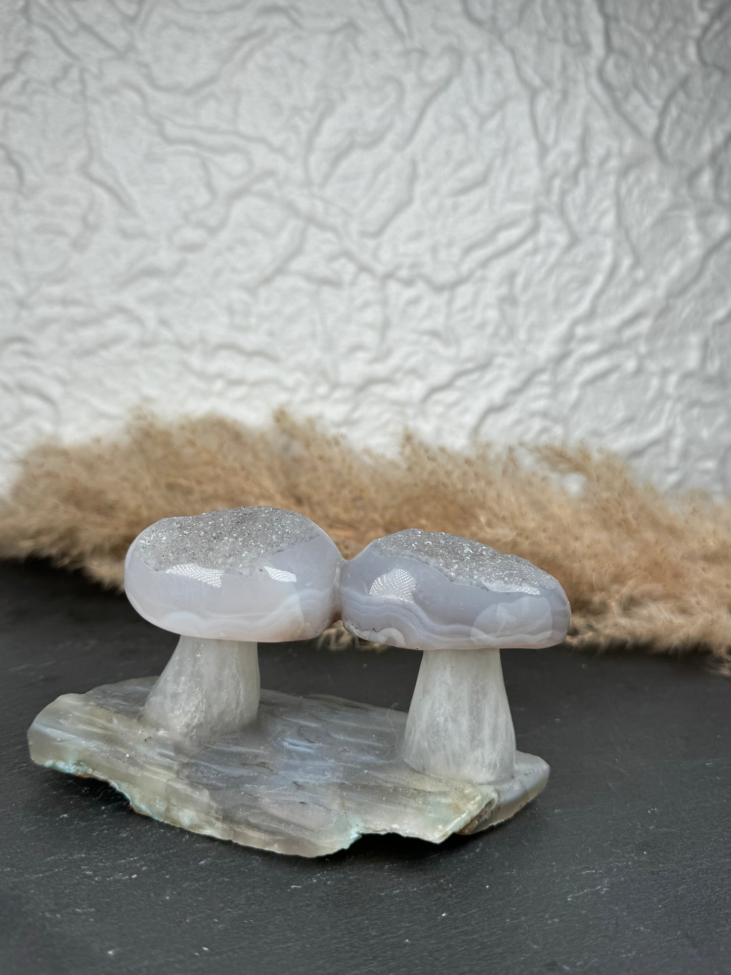 Druzy ✨ Achat Pilz 🍄 | Stück B