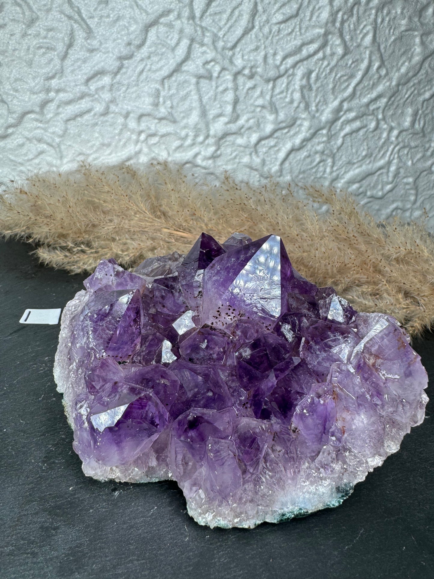 Amethyst 💜 Cluster mit Citrin | HQ