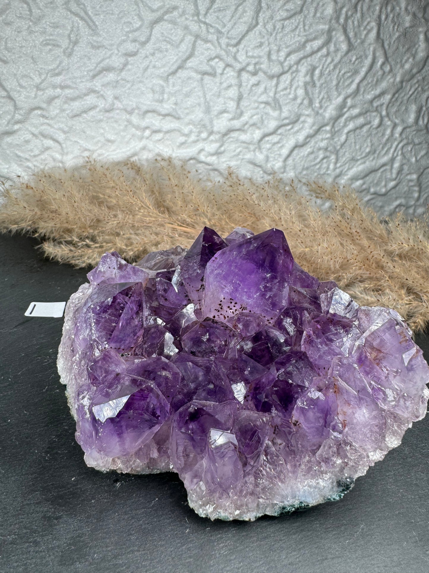 Amethyst 💜 Cluster mit Citrin | HQ