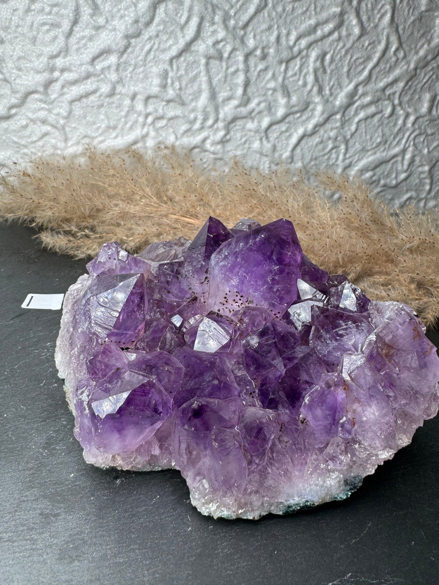 Amethyst 💜 Cluster mit Citrin | HQ