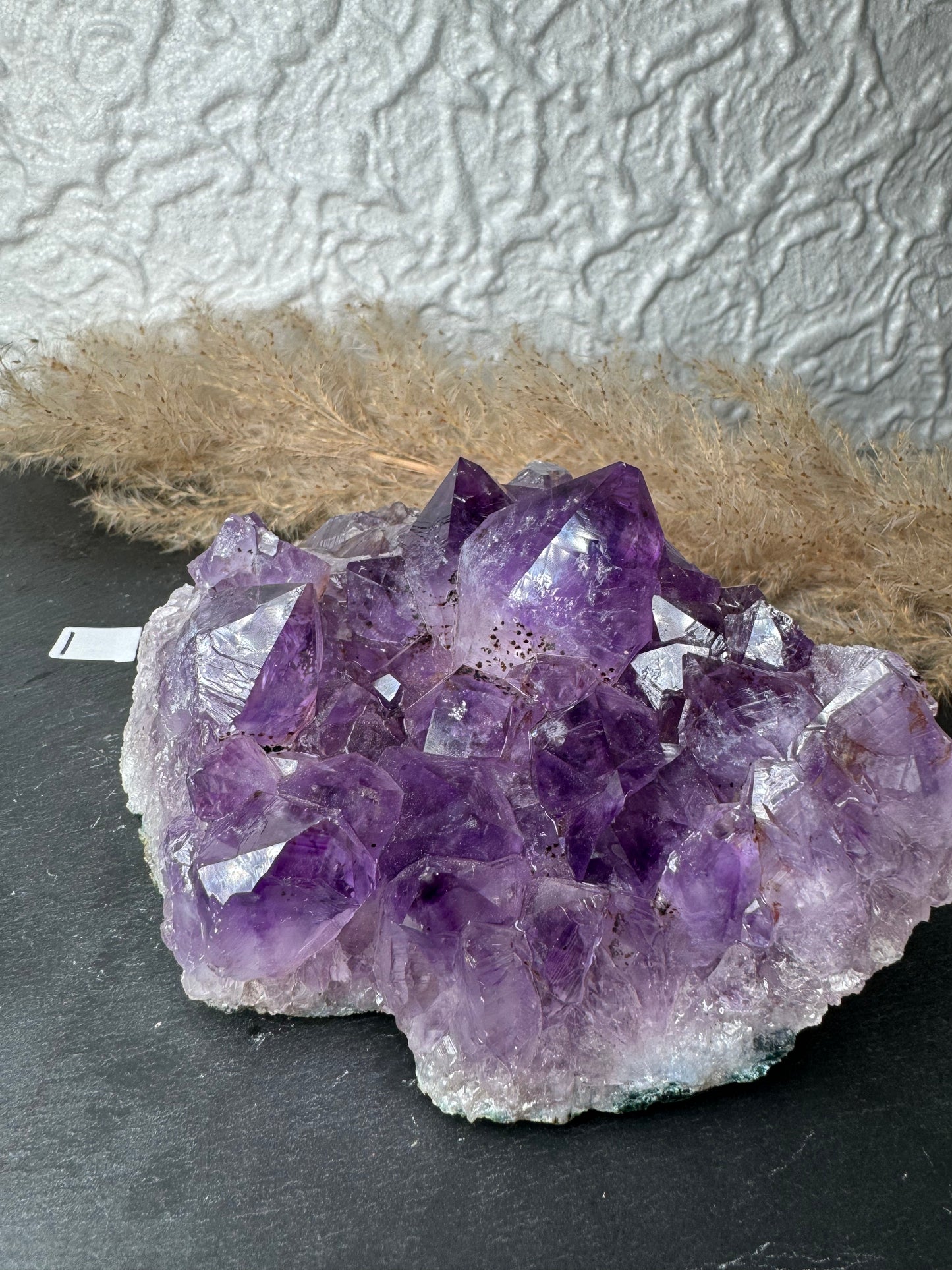 Amethyst 💜 Cluster mit Citrin | HQ